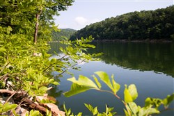 Bluewater Ridge Tract 15