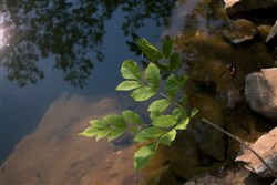 Bluewater Ridge Tract 15