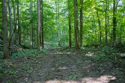 property photo for Bluewater Ridge Tract 16, 2.58 acres for sale in Wayne County, Kentucky