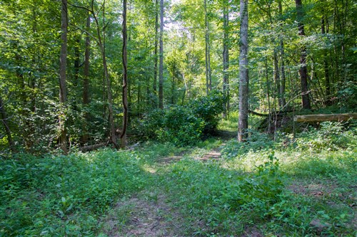 Bluewater Ridge Tract 19