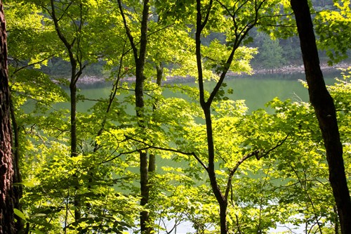 Bluewater Ridge Tract 19