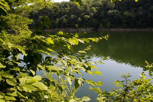 Bluewater Ridge Tract 19