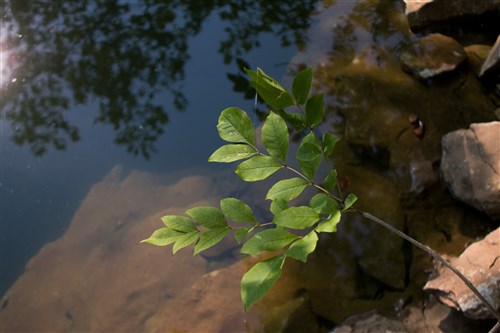 Bluewater Ridge Tract 20