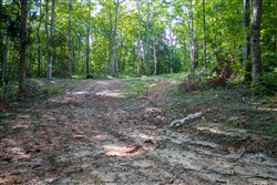 property photo for Bluewater Ridge Tract 25, 3.71 acres for sale in Wayne County, Kentucky