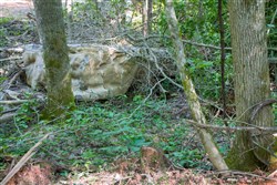 property photo for Bluewater Ridge Tract 25, 3.71 acres for sale in Wayne County, Kentucky