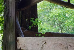 Bluewater Ridge Tract 3