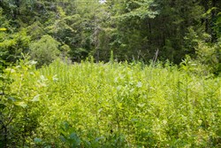 Bluewater Ridge Tract 3