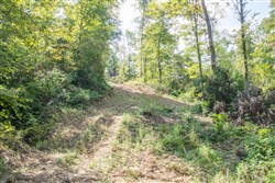 Buck Run Ridge Tract 17