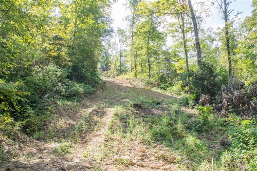 Buck Run Ridge Tract 17