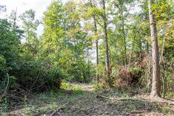 Buck Run Ridge Tract 17