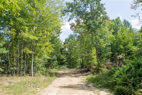 Buck Run Ridge Tract 2