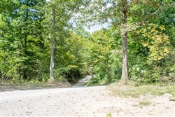 Buck Run Ridge Tract 2