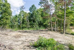 Buck Run Ridge Tract 2