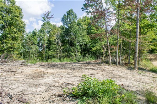 Buck Run Ridge Tract 2