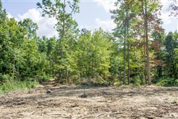 Buck Run Ridge Tract 2