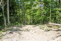 Buck Run Ridge Tract 2