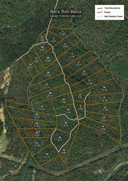 tract layout map for Buck Run Ridge Tract 21, 13.07 acres for sale in Wayne County, Kentucky