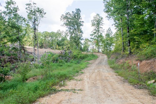 Buck Run Ridge Tract 23