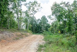 Buck Run Ridge Tract 23