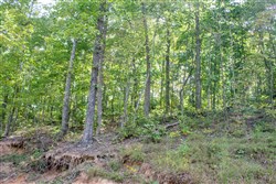 Buck Run Ridge Tract 23