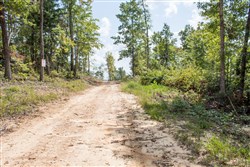 Buck Run Ridge Tract 26