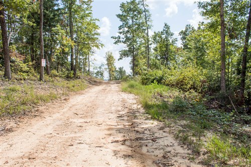 Buck Run Ridge Tract 26