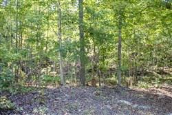 property photo for Buck Run Ridge Tract 33, 2.98 acres for sale in Wayne County, Kentucky
