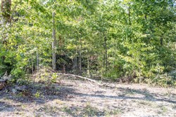 property photo for Buck Run Ridge Tract 33, 2.98 acres for sale in Wayne County, Kentucky