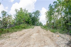 Buck Run Ridge Tract 9