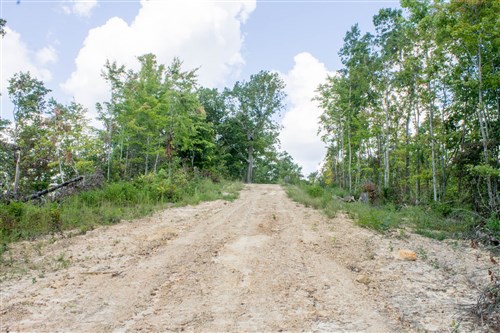 Buck Run Ridge Tract 9