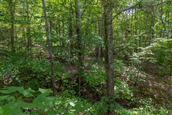 Poppys Point Tract 1
