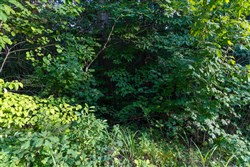 Poppys Point Tract 10