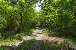 Poppys Point Tract 2