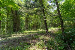 Poppys Point Tract 2