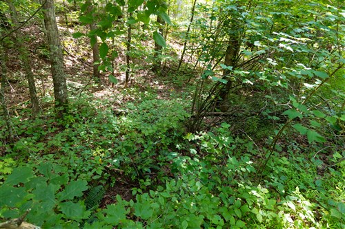 Poppys Point Tract 2
