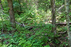 Poppys Point Tract 2