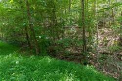 Poppys Point Tract 2