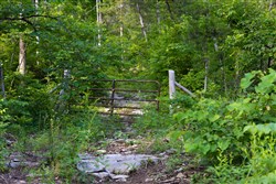 property photo for Poppys Point Tract 4, 6.82 acres for sale in Wayne County, Kentucky