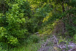 property photo for Poppys Point Tract 4, 6.82 acres for sale in Wayne County, Kentucky