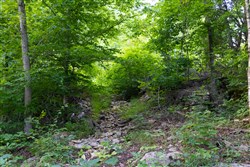 Poppys Point Tract 5