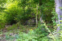 Poppys Point Tract 5