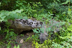Poppys Point Tract 6