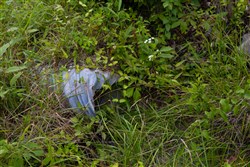 Poppys Point Tract 7