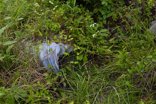 Poppys Point Tract 7