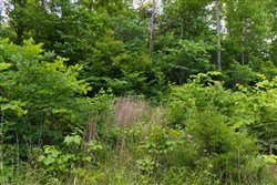 Poppys Point Tract 7