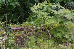 property photo for Poppys Point Tract 8, 2.07 acres for sale in Wayne County, Kentucky