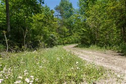 property photo for Riverbend Tract 12, 5.15 acres for sale in Wayne County, Kentucky