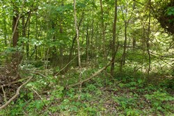 Riverbend Tract 23