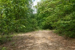 Riverbend Tract 23