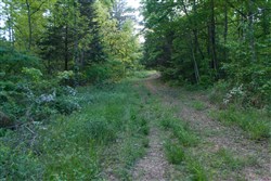 property photo for Riverbend Tract 24, 4.41 acres for sale in Wayne County, Kentucky